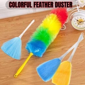 Colorful Feather Duster